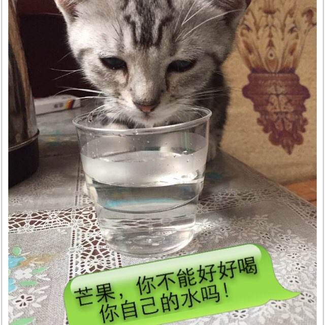 非全日制本科没有学位证有用吗